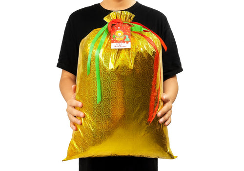 Express Holiday Calm Gift Bags (Biodegradable)