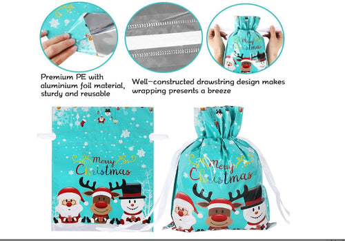 Express Holiday Calm Gift Bags (Biodegradable)